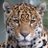 Eduardo_748