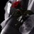 Freedom_2374