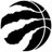 raptorsavi