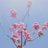 lullabyblue76