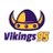 Vikings95Cards