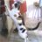 Ghita_Ramundo