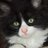 Sir_CharlesNC