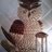 Johnny_1206