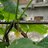 rameshkmr659