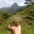ESTEBANM2