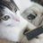 CatEmbedded