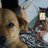 Mrpips520681Mr