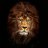 silentLeo123