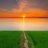 Shivanshu858884