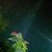 Arrah5807
