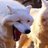 Wolfhaeng