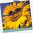GirasolMx