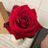 snowyrose_