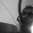 dkzfunde
