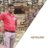 arvind__raykwar