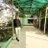jayprak31591568