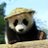 chops_panda