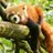 rushworth_peter