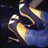 Patry_Barri