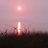 Tomchuk62