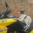rogerio27281787