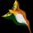 MdShami46578310