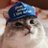 Shauncat