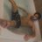 AyaanKhan___