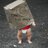 rajsraj_s