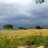 ksreddy123