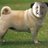 martinhiggins42