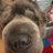 Griffsdog1