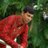 siddanth507