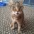 john_milroy
