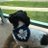 sandra_m42