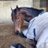 LennyTodd7
