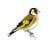 goldfinch521