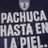 fedealberto12