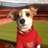 BedsGooner