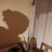 Catheri00331975