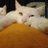Eduardo_o_1