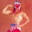 luchalibrelover
