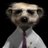 Sc_Meerkat