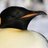 ZeMisterPenguin