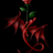 Drachenrose