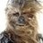 wookiegr