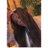 shasharas_