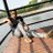 m_gidwani