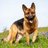 David_Paul_B